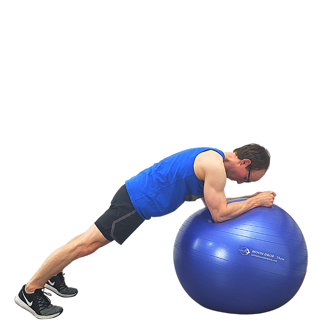 Exercise Balls | Anti-Burst Stability Balls (55cm, 65cm,75cm)