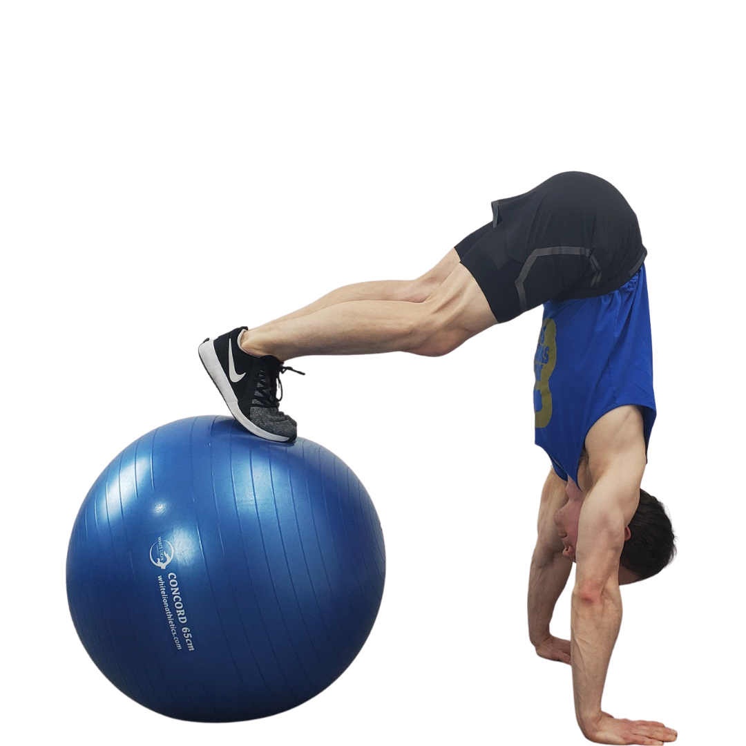 Exercise Balls | Anti-Burst Stability Balls (55cm, 65cm,75cm)
