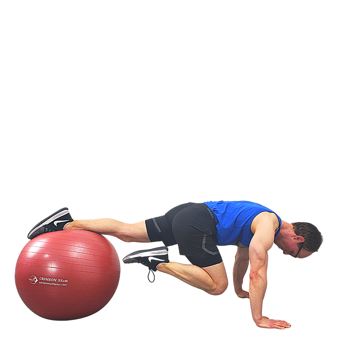 Exercise Balls | Anti-Burst Stability Balls (55cm, 65cm,75cm)