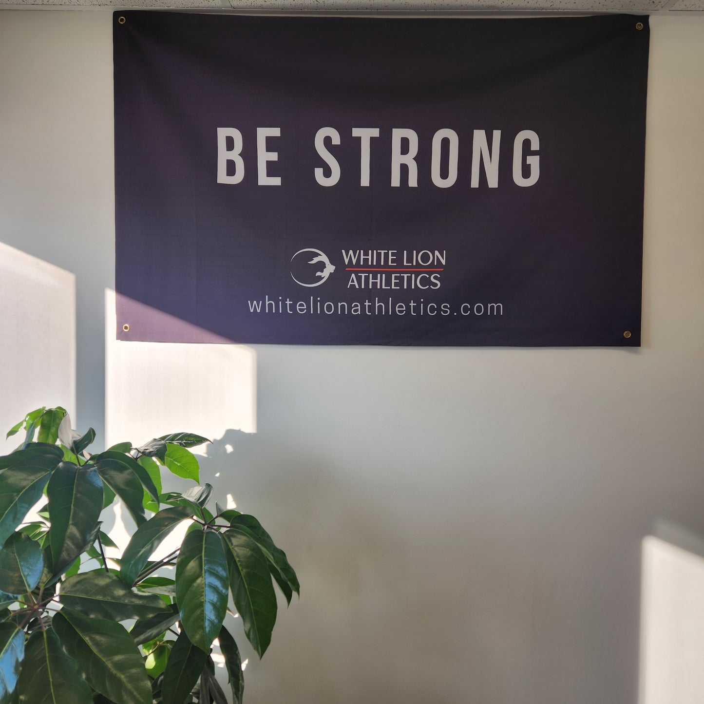 White Lion Athletics GYM BANNERS (Double Side)