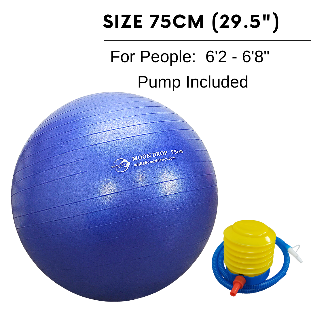 Exercise Balls | Anti-Burst Stability Balls (55cm, 65cm,75cm)