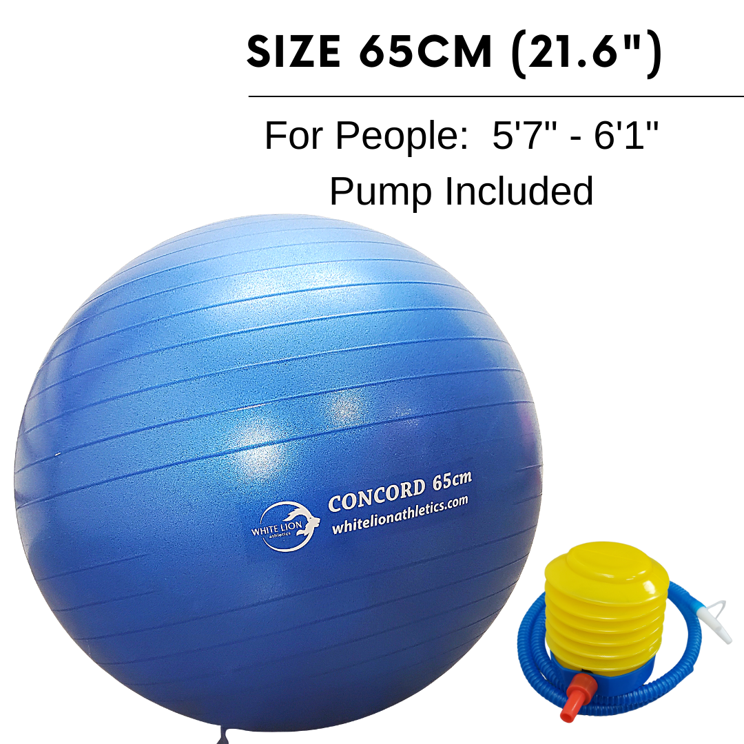 Exercise Balls | Anti-Burst Stability Balls (55cm, 65cm,75cm)