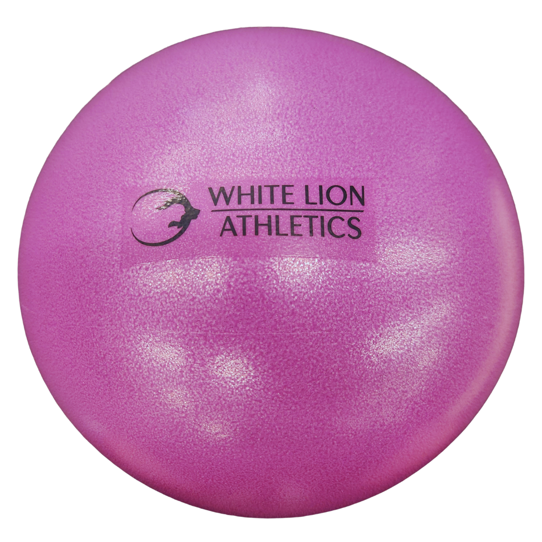 Mini Stability Ball (8") -(In Stock Now)