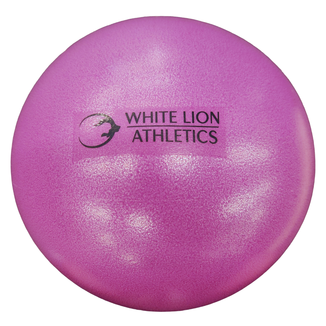 Mini Stability Ball (8")