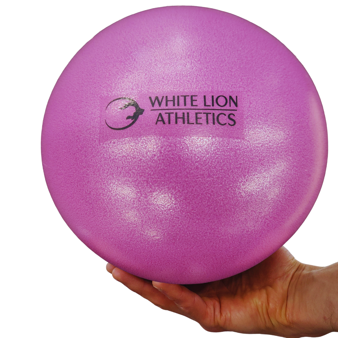Mini Stability Ball (8") -(In Stock Now)
