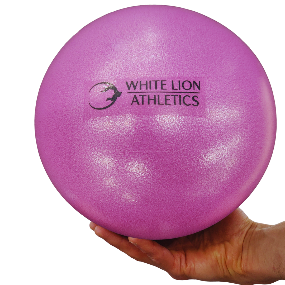 Mini Stability Ball (8")