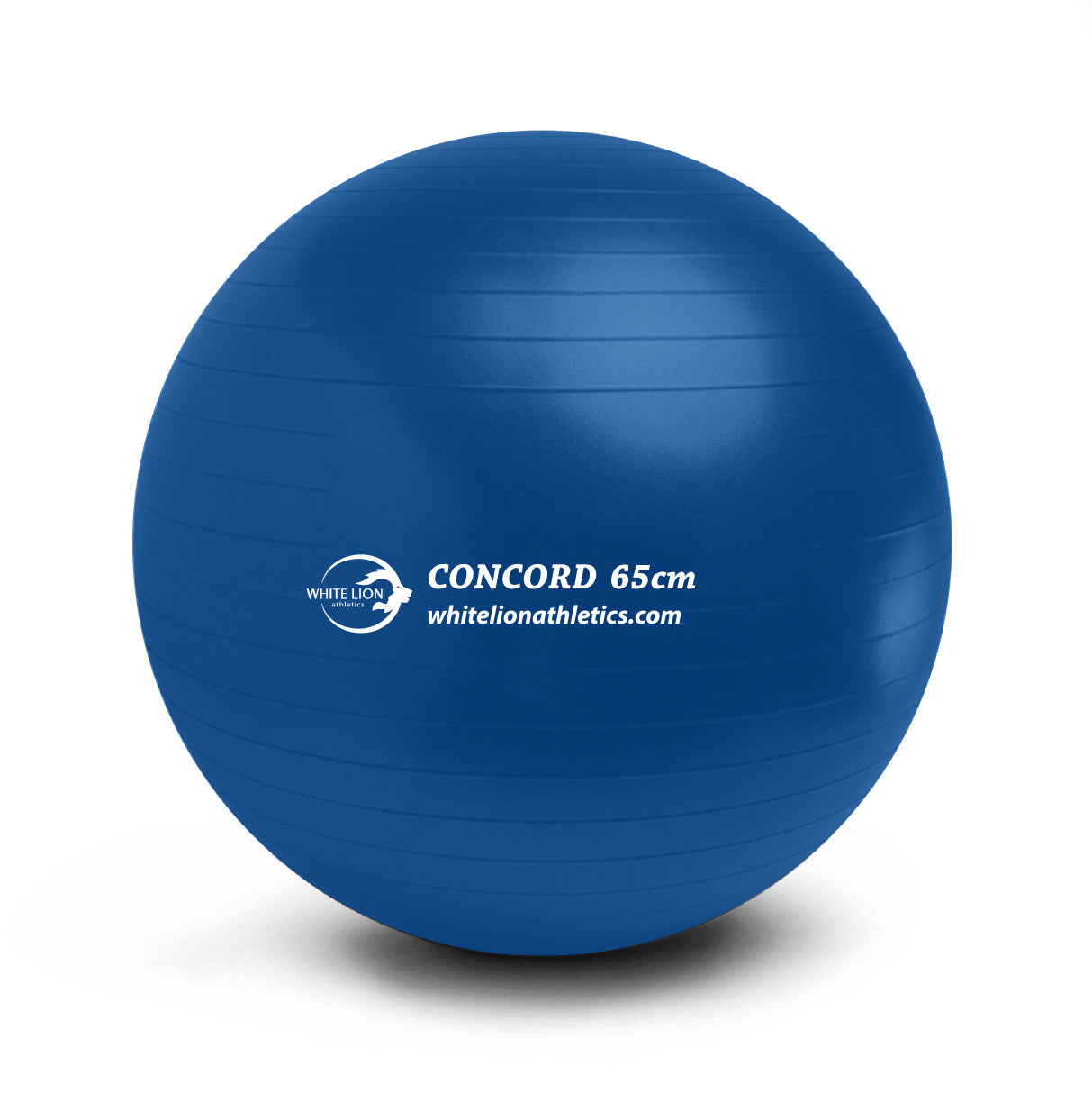 Exercise Balls | Anti-Burst Stability Balls (55cm, 65cm,75cm) - White Lion Athletics