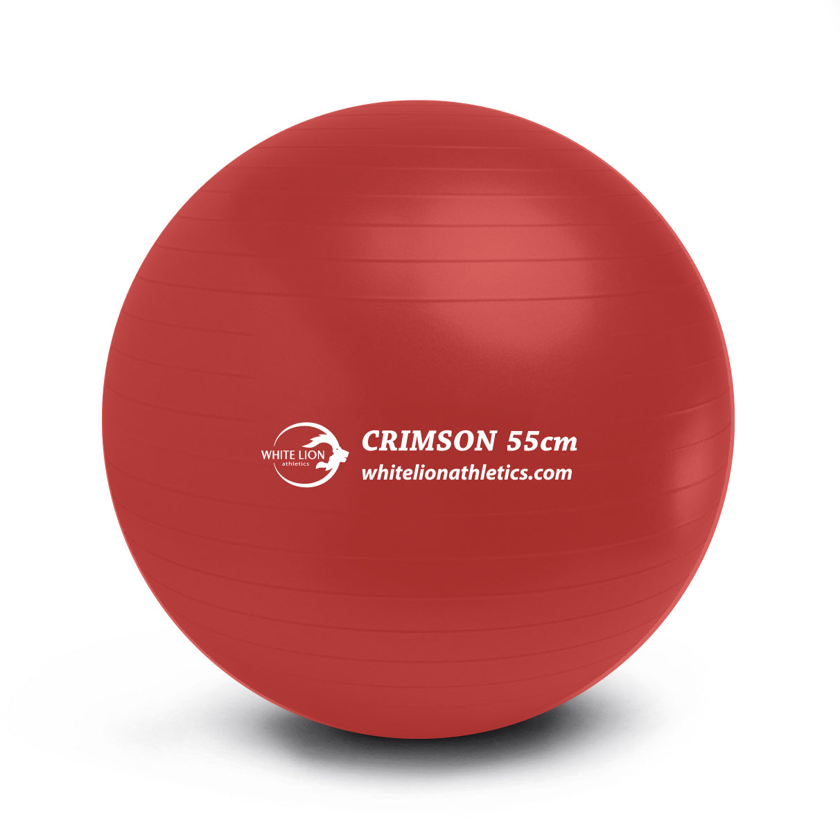 Exercise Balls | Anti-Burst Stability Balls (55cm, 65cm,75cm) - White Lion Athletics