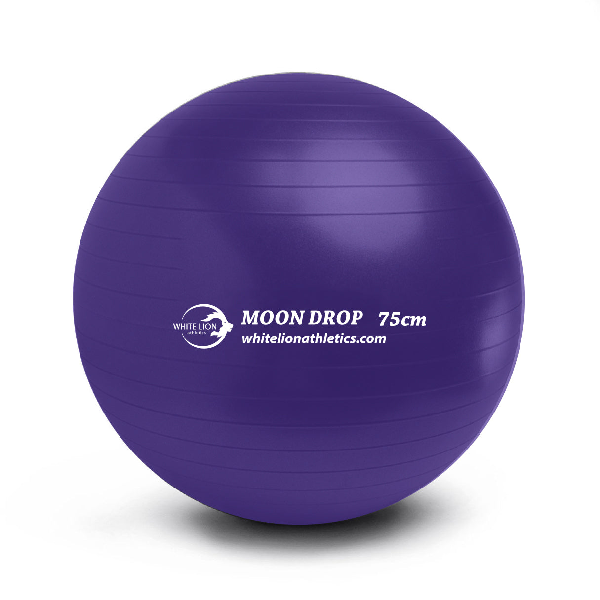 Exercise Balls | Anti-Burst Stability Balls (55cm, 65cm,75cm) - White Lion Athletics