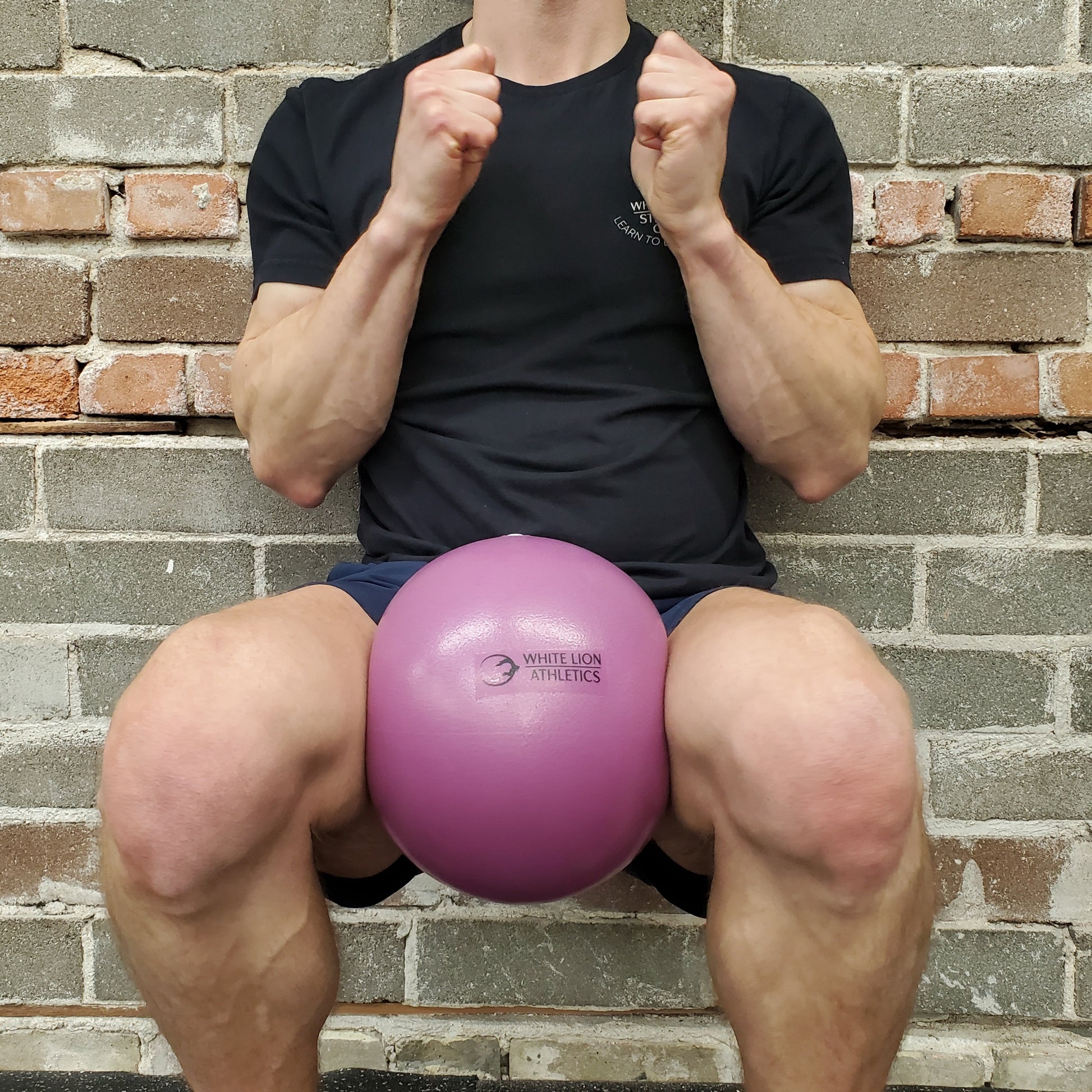 Best pilates ball exercise. Wall sit with hip adduction