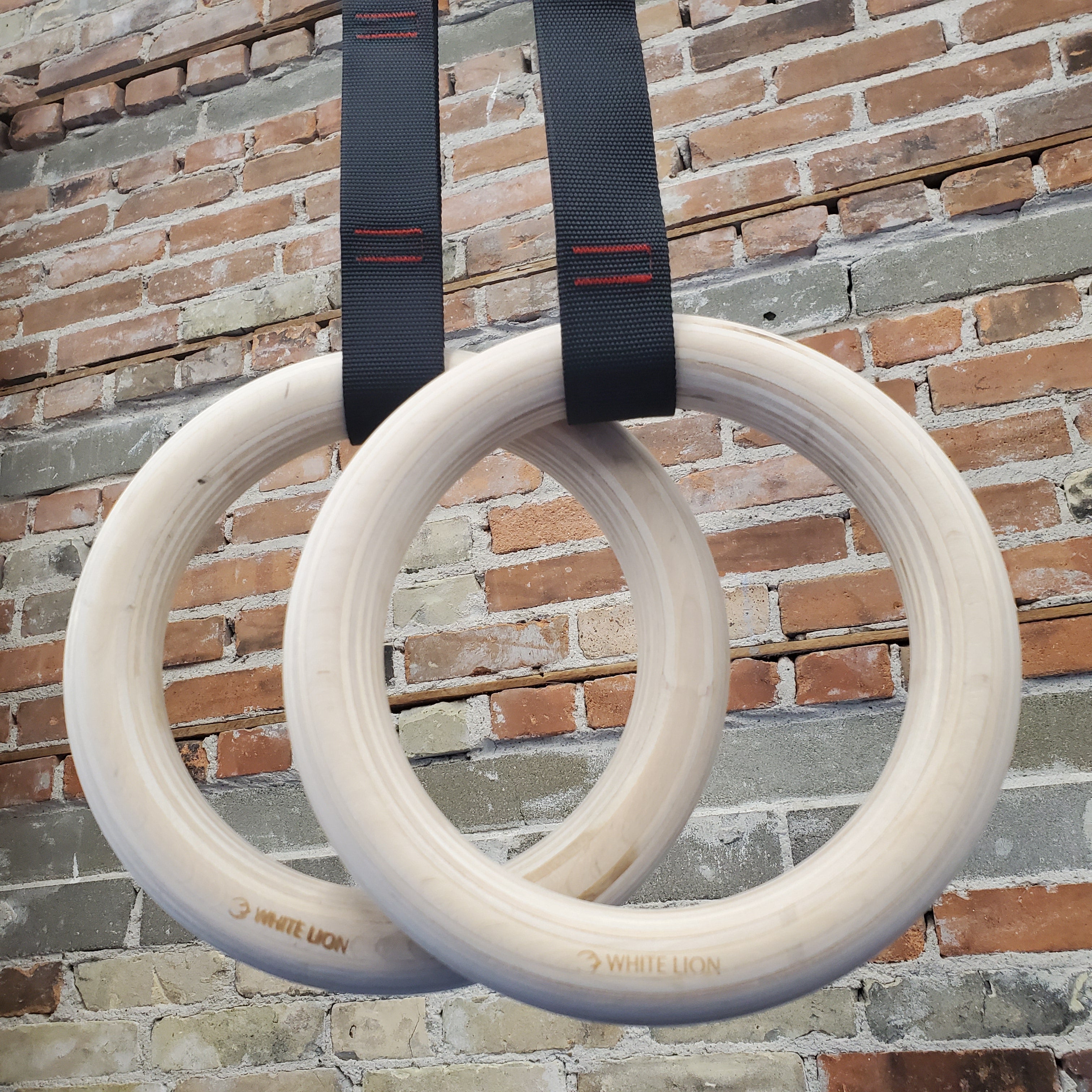 Adjustable Straps & Rings - TEN-O | ByGMR