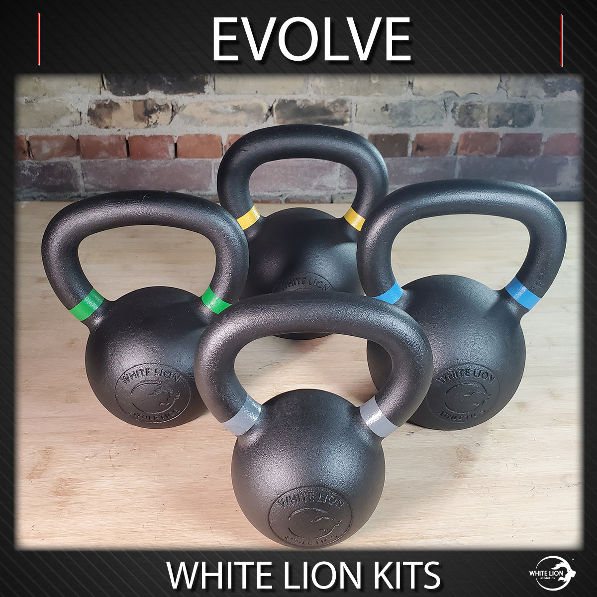 Kettlebell Package: "Evolve" (8kg/12kg/16kg/20kg)  | In Stock Now - White Lion Athletics