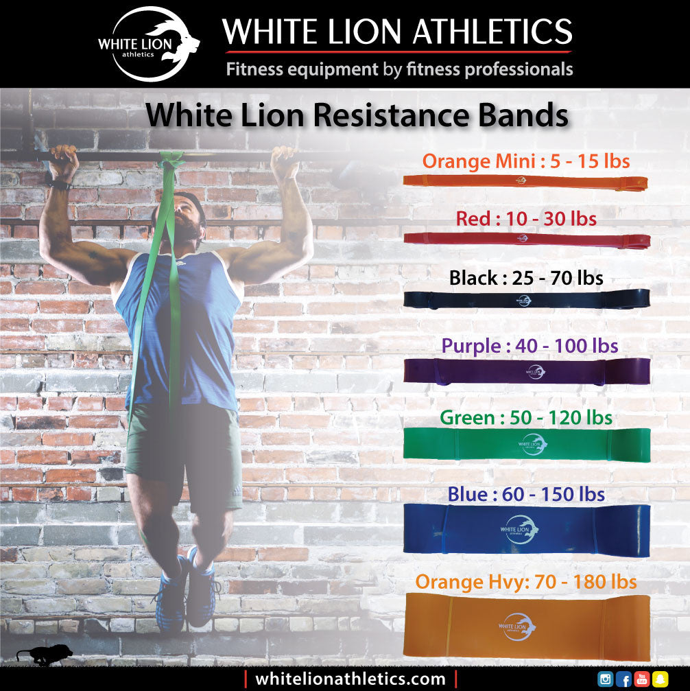 Pull-ups Beginner - Resistance Bands KIT - White Lion Athletics