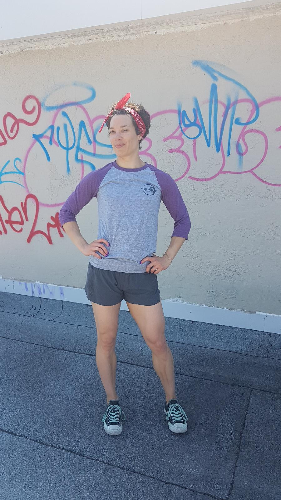 Baseball T-Shirt | 3/4 Sleeve Raglan Shirt| Purple / Grey - White Lion Athletics