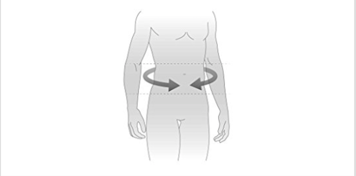 Weightlifting Belt | BLK MAX  5" Nylon Lifting Belt - White Lion Athletics