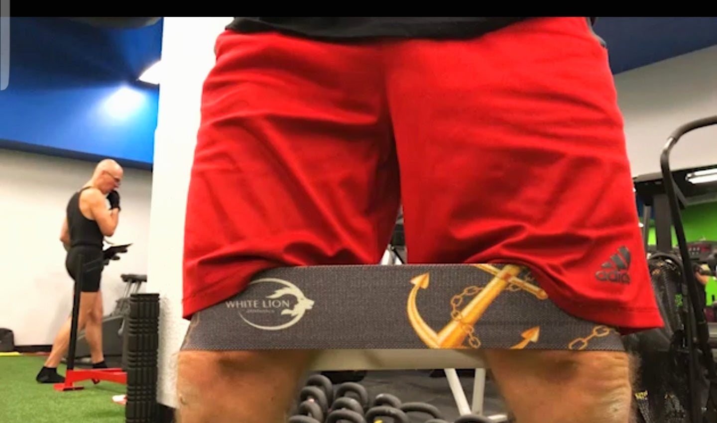 The Ultimate Band Box:  3 Pack Fabric Resistance Band Kit - White Lion Athletics